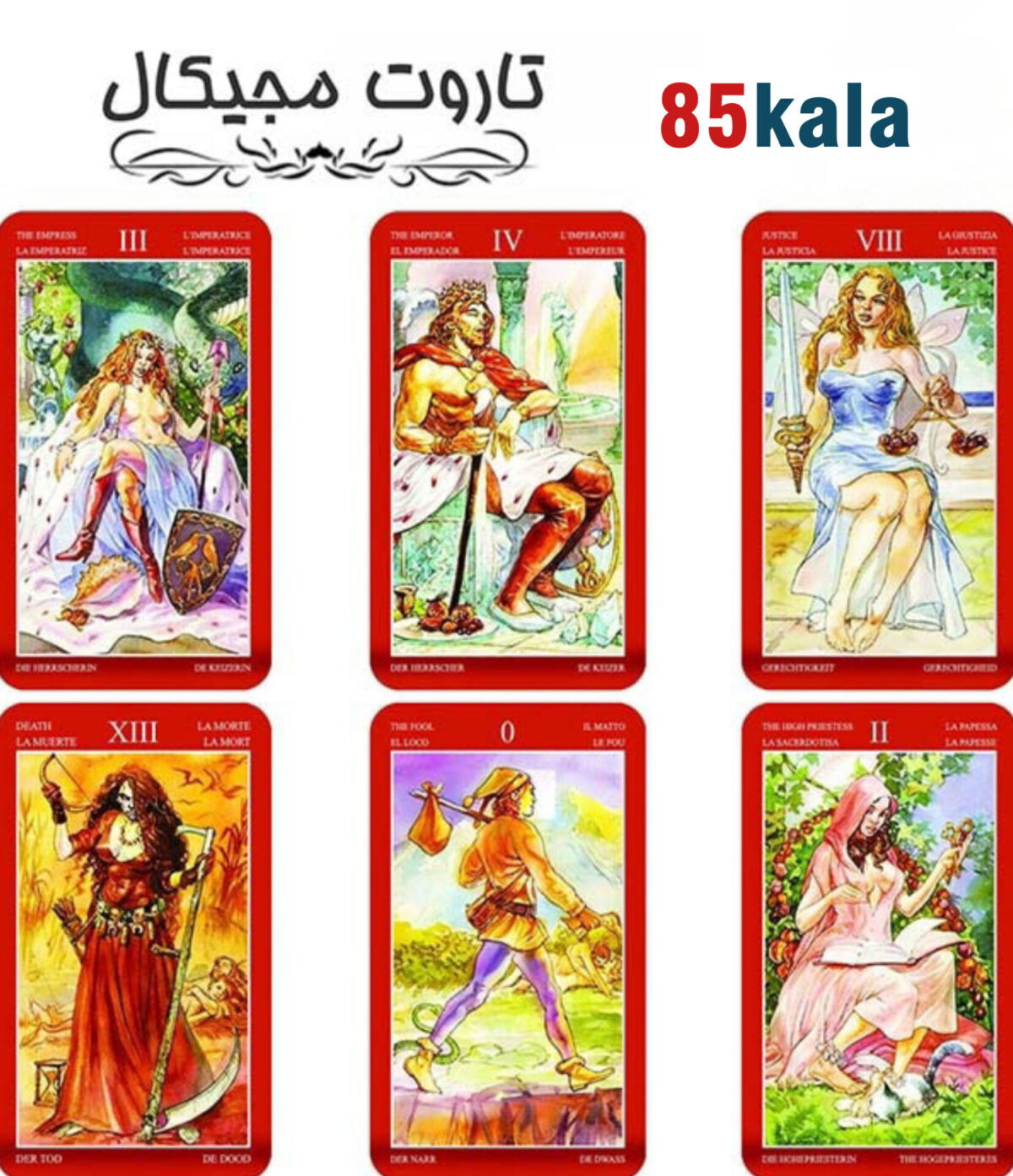 InShot_20241206_234501050