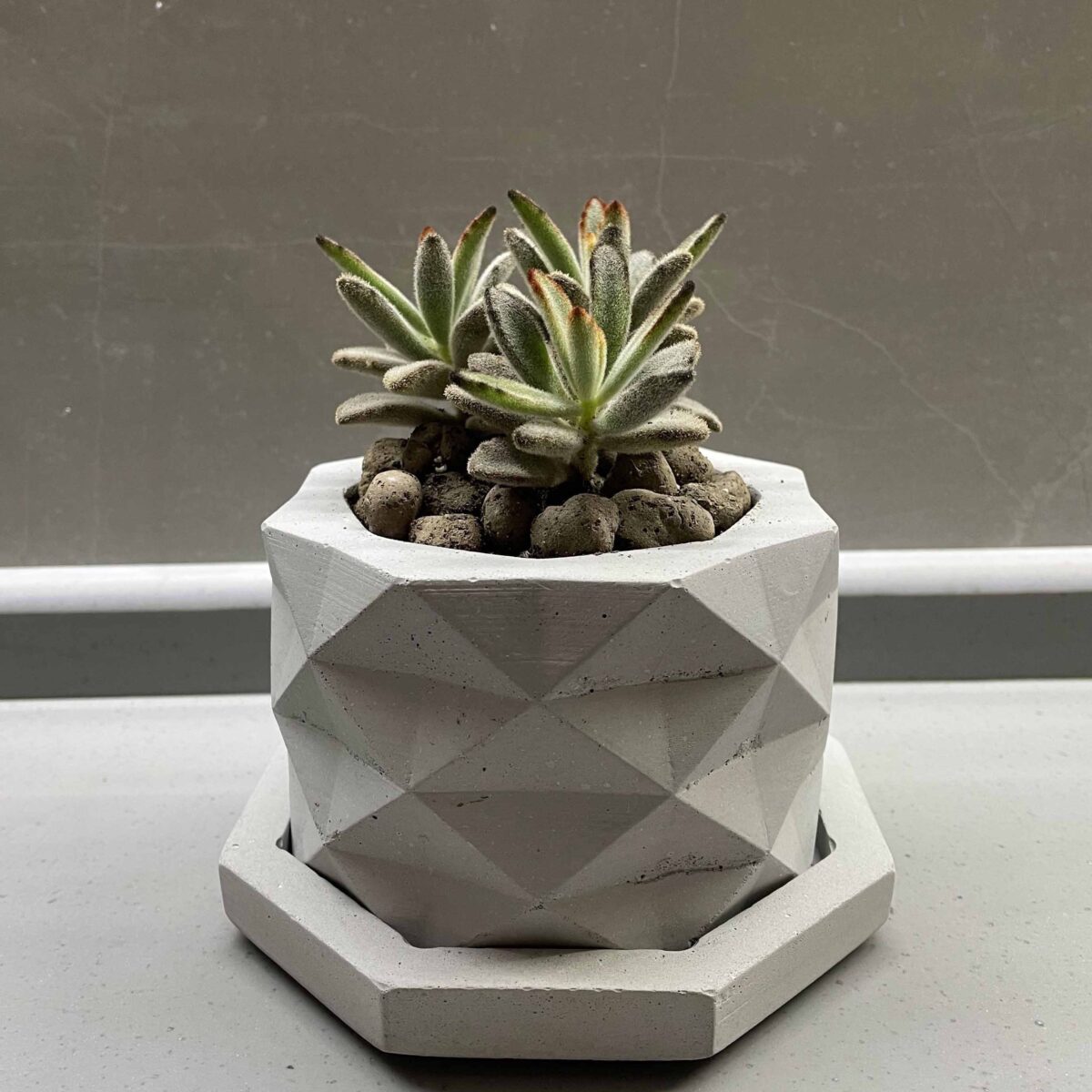 گلدان بتونی