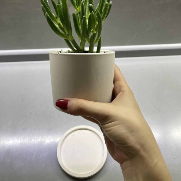 Zik circular concrete pot