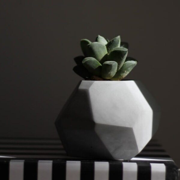 گلدان تیتان